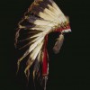 La Nuova Frontiera. Storia e cultura dei nativi d'America